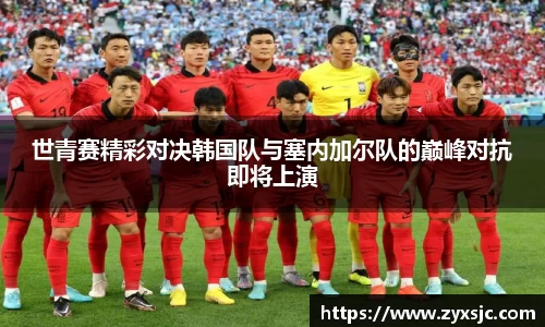 半岛·BOB官方网站